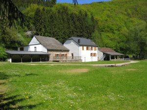 Camping Hiboux Camping Hiboux