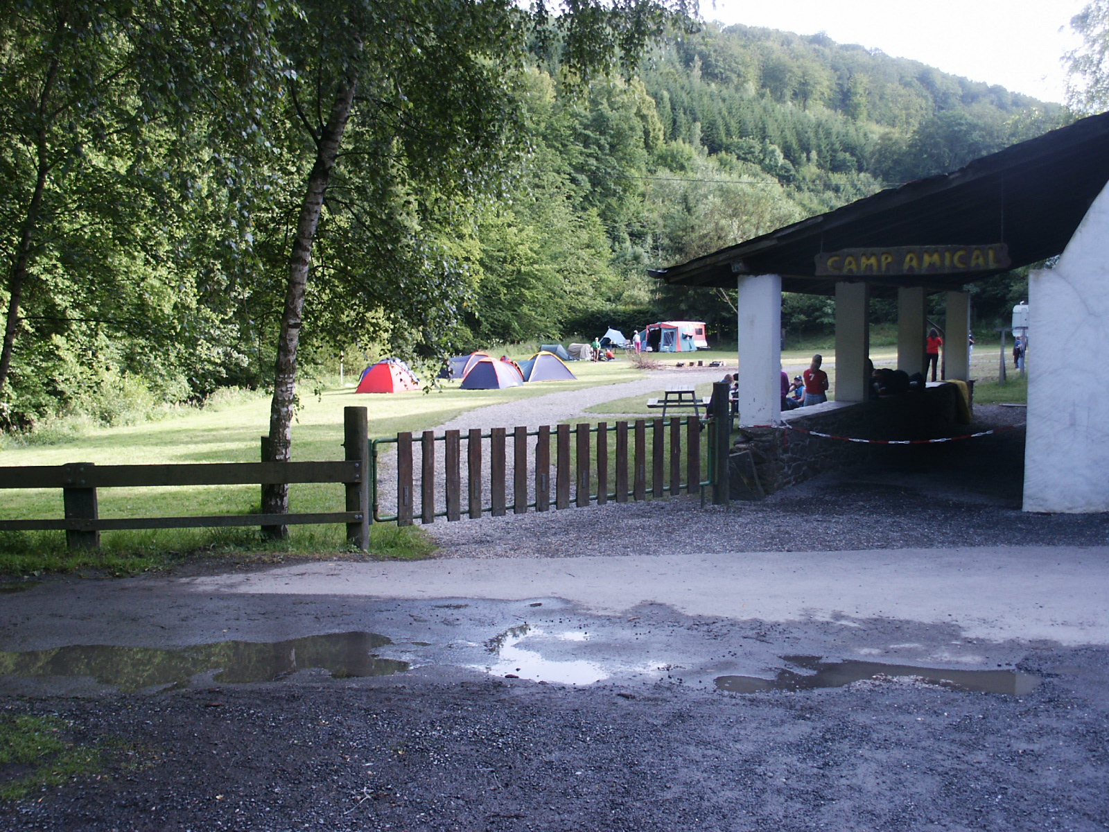 Camping Eule