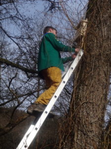 Natur WE 2015 (3) Natur WE 2015 (3)